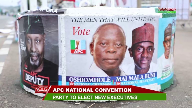 APC National Convention: Party Elects New Executives