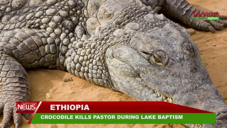 Crocodile Kills Pastor During Lake Baptism