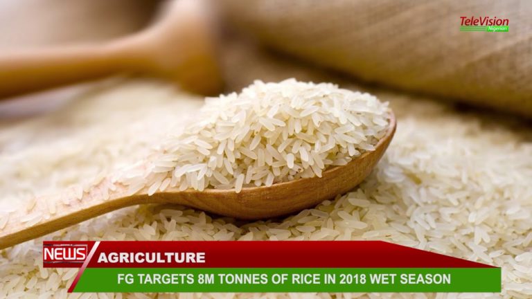 FG Targets 8M Tonnes Of Rice In 2018 Wet Season