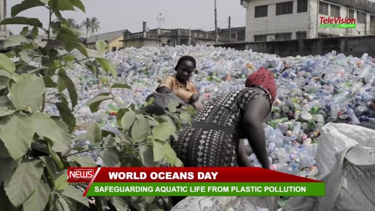 World Ocean Day: Safeguarding Aquatic Life From Plastic Pollution