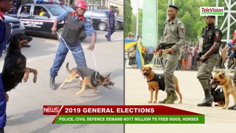POLICE, CIVIL DEFENCE DEMAND N317 MILLION TO FEED DOGS, HORSES