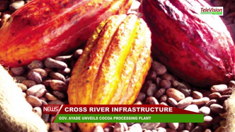 GOV. AYADE UNVEILS COCOA PROCESSING PLANT IN RIVERS STATE