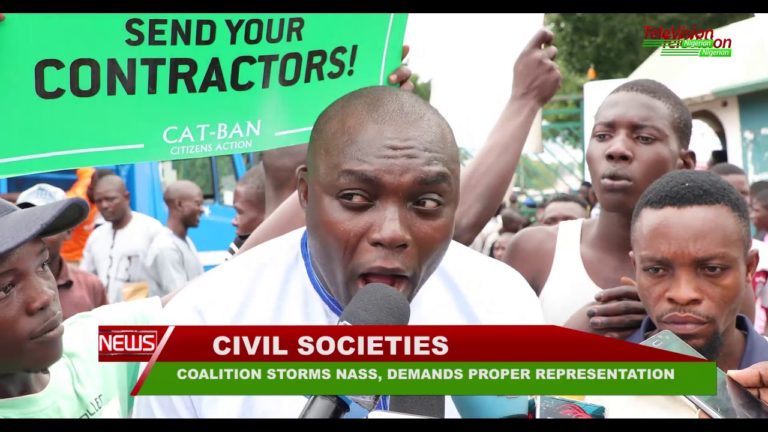 COALITION STORMS NASS, DEMANDS PROPER REPRESENTATION
