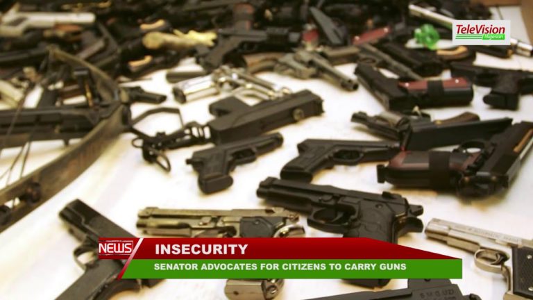SENATOR ADVOCATES FOR CITIZENS TO CARRY GUNS