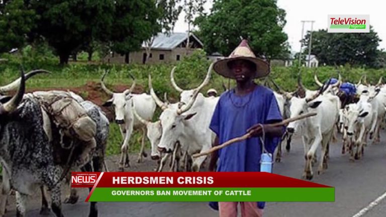 GOVERNORS BAN MOVEMENT OF CATTLE IN THE SOUTHEAST
