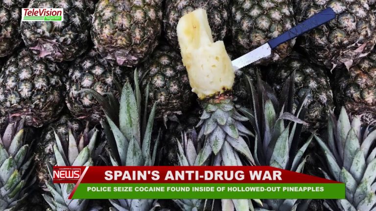 POLICE SEIZE COCAINE FOUND INSIDE OF HOLLOWED OUT PINEAPPLES