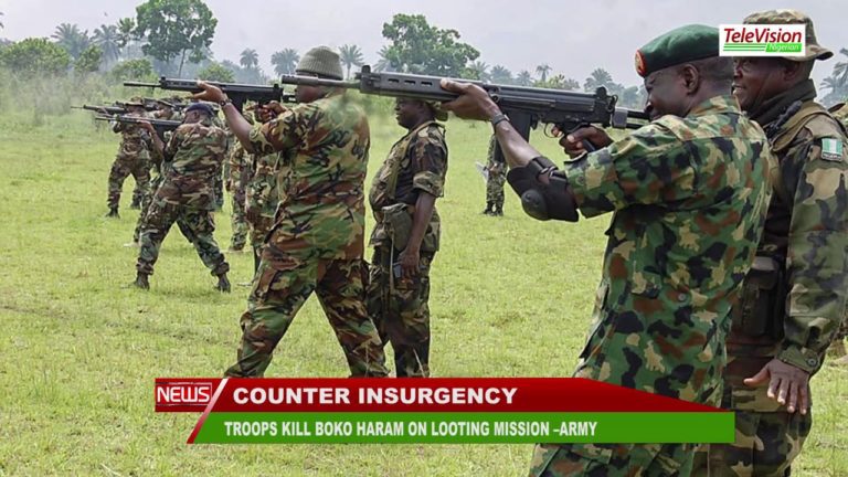 TROOPS KILL BOKO HARAM ON LOOTING MISSION –ARMY
