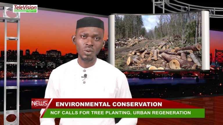 NCF CALLS FOR TREE PLANTING, URBAN REGENERATION