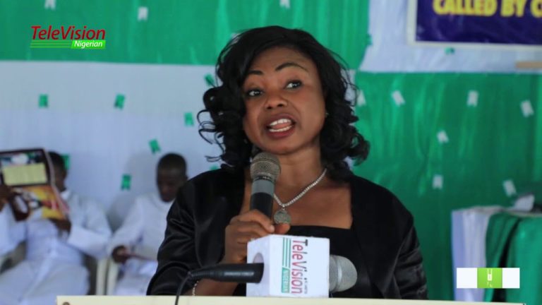 WEEKEND VIBES 247 giving you beautiful events all around the world