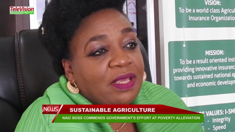 NAIC BOSS COMMENDS GOVERNMENT’S EFFORT AT POVERTY ALLEVIATION