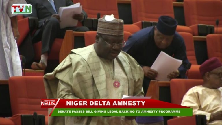 SENATE PASSES BILL GIVING LEGAL BACKING TO AMNESTY PROGRAMME