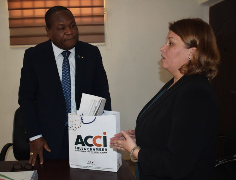 Abuja Chamber, Hungary to establish agric demonstration farm