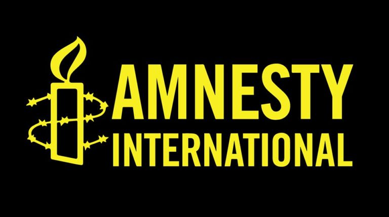 Revealed: How Amnesty International, foreign agents hinder success on war against insurgency