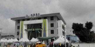 FEC approves consultant for forensic audit of NDDC