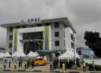 FEC approves consultant for forensic audit of NDDC