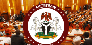 Senate suspends plenary for late Longjan