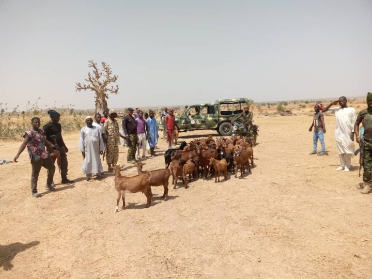 Troops kill bandits, release kidnap victims and rustled cattle in Zamfara