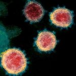 coronavirus-77-6