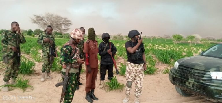 Troops kill scores, rescue kidnapped victims and recover rustled livestock in Sokoto, Zamfara states