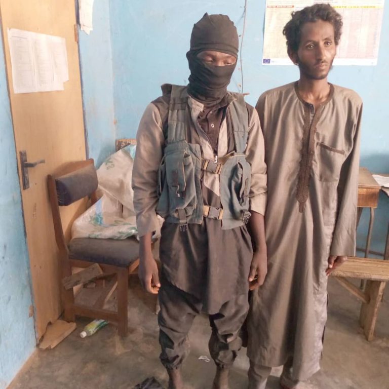 Two Foreigners Arrested as Airstrikes Foil Bandits’ Cattle Rustling Operation in Niger State