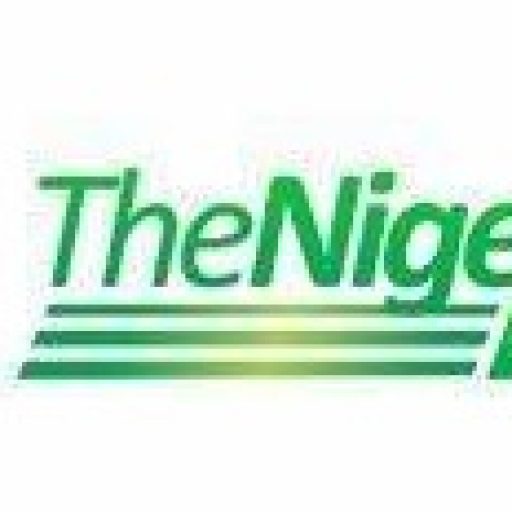 cropped-Thenigerian-favicon.jpg