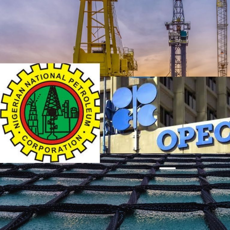 NNPC commits to OPEC+ settlement, to concentrate on gas