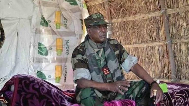 Experts predict success for war against terrorism in Nigeria as key sponsor is killed by rebels