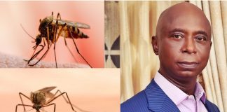 exploring in vaccines for malaria