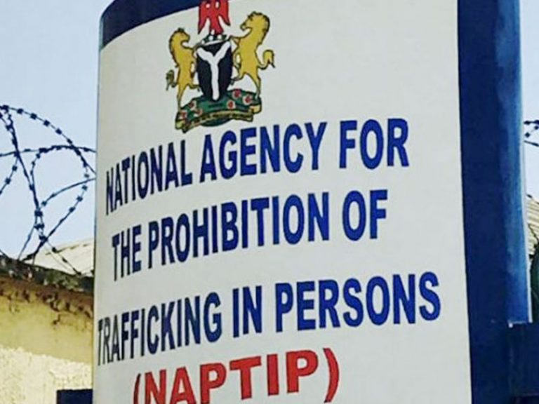 NAPTIP arrests 2 suspected traffickers, rescues 8 underaged children in Kano