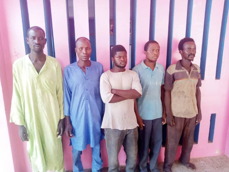 Police bust a 14-member kidnapping ring and recover 18 phones, in Adamawa