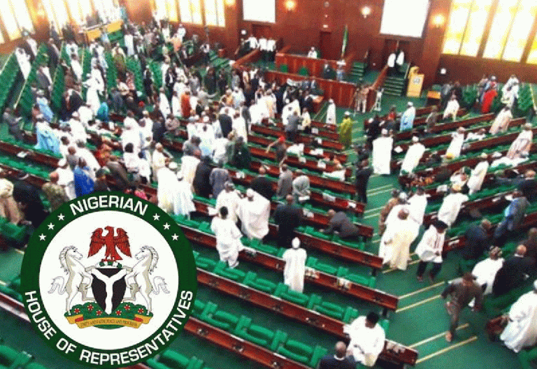 House of Representatives rejects the N1.3 trillion in projected revenue from customs in 2022
