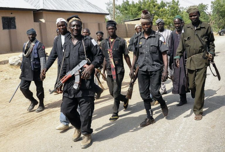 Shiroro vigilantes kill 47 bandits in Niger, while police kill Buba Baromi