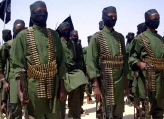 Somali army captures an al-Shabab leader