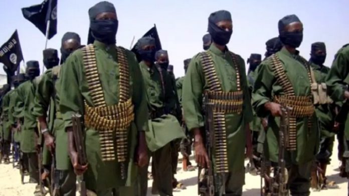 Somali army captures an al-Shabab leader