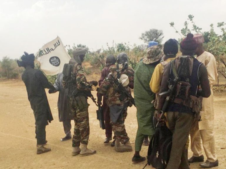 Boko Haram: Terrorists kidnap travelers along Ngamdu in Borno State