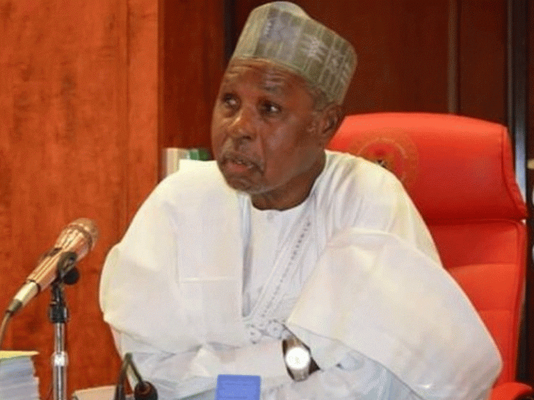 Masari gives the incoming LG chairman the task of generating revenue