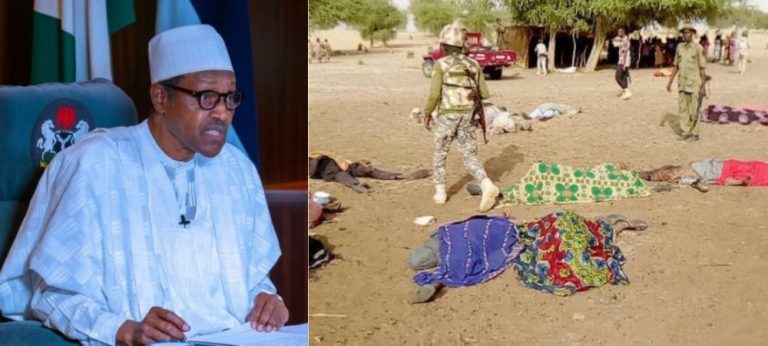 Boko Haram killed innocent citizens in Maiduguri as result of Buhari visit – Femi Adesina