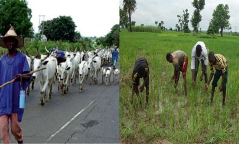 Eleven people killed in conflict between herders and farmers in Taraba
