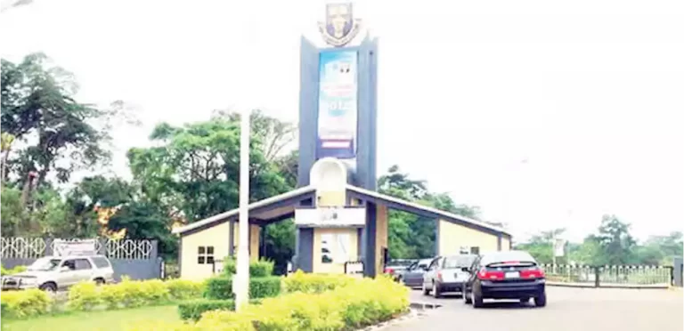 Over a land dispute, armed hoodlums invade Obafemi Awolowo University and Barricade Road