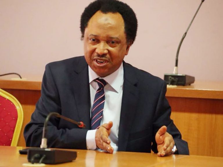 Shehu Sani reacts to viral video showing Asiwaju’s wet cloth with Tinubu: “Don’t block your nose.”
