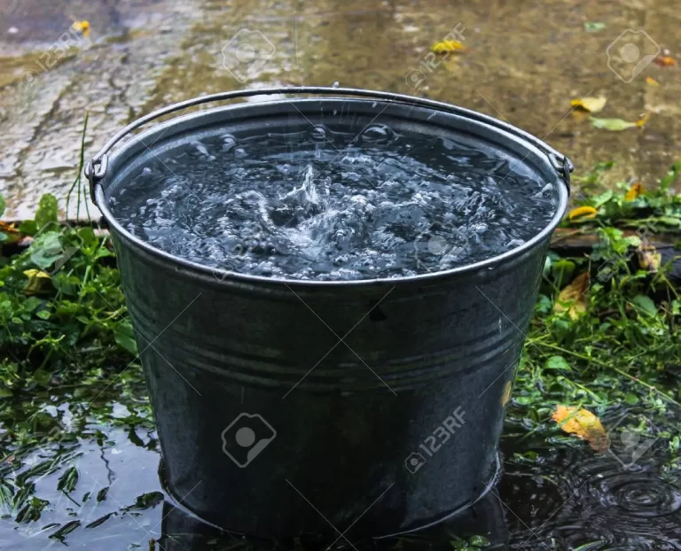 In Kaduna, man kills his neighbor over bucket of water