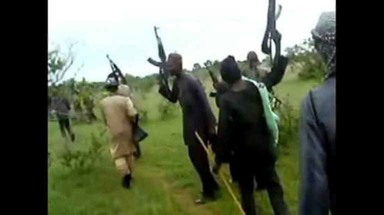 Gunmen attack village near Kaduna, kidnap nursing mother, her baby, two others