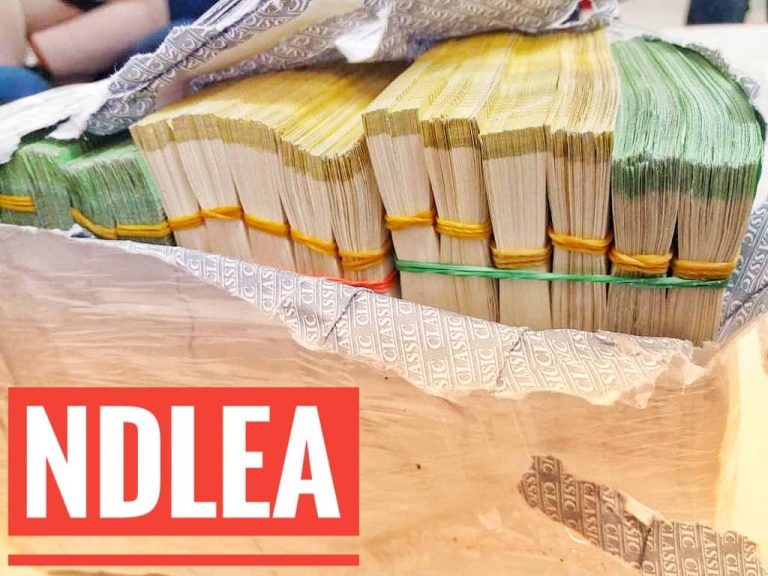 NDLEA Intercepts Drugs, Cash Consignments From Pakistan, Austria, Italy