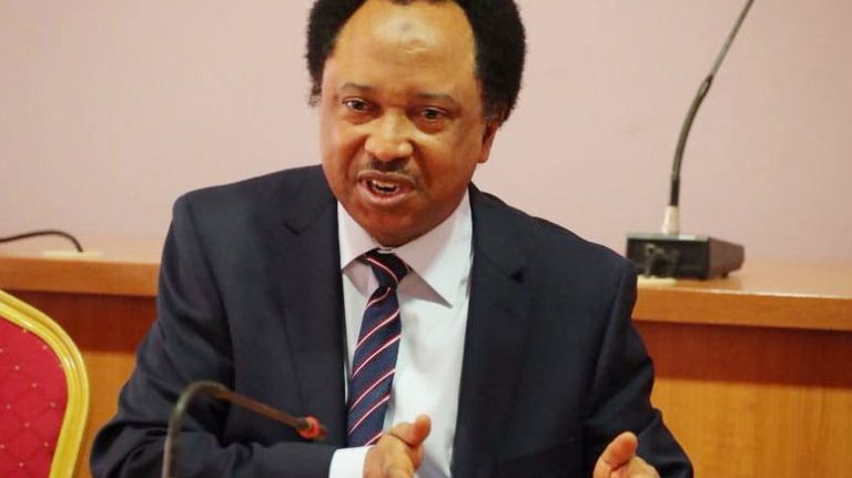Shehu Sani reacts to assassination of eight traders in Abia’s cattle market, tasks govt