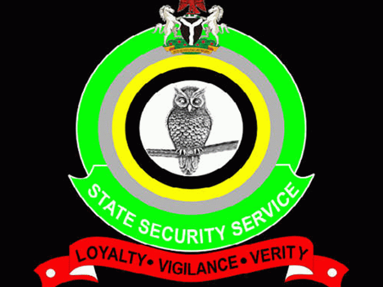 House Asks DSS, Police To Investigate Death Of DPO In Katsina