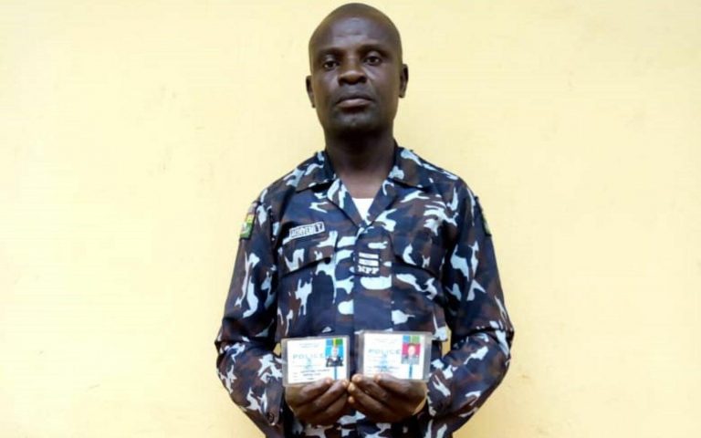 Fake police inspector apprehended in Ogun