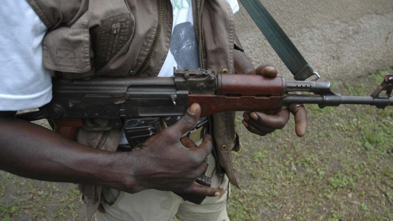 Terrorists kill 10 in Katsina, abduct village head, others