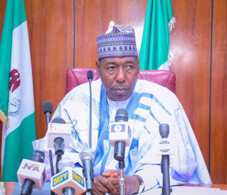 Zulum meets Egyptian ambassador on education partnership