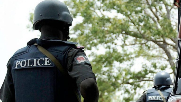 Police react after 13 people burnt to death in Kwara auto crash