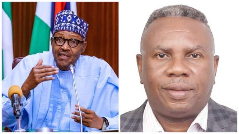 Buhari appoints a coordinator for the project to clean up hydrocarbon pollution.